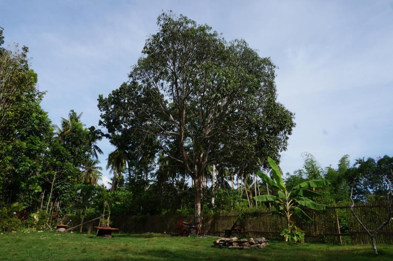 Peaceland Hostel Panglao Luaran gambar